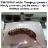 Tak to mniej więcej wygląda...