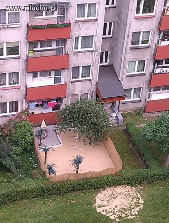 Polak potrafi