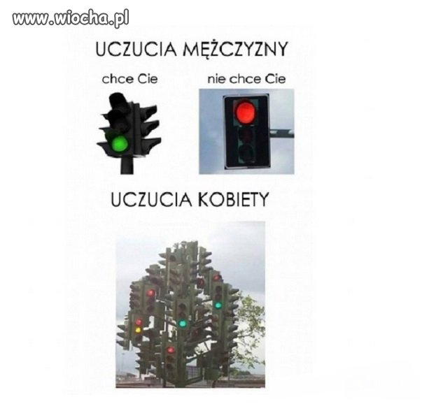 Uczucia