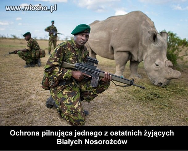 Dla pieniędzy zabiją nawet ostatniego.XXI wiek