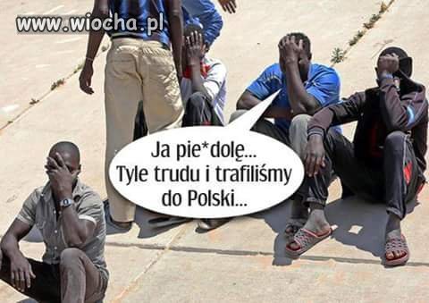 Polandia