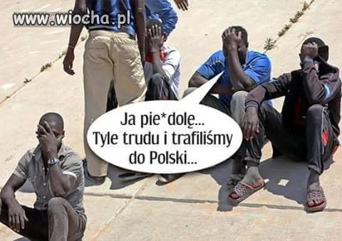 Polandia