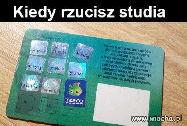 Kiedy rzucisz studia