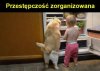Przestępczość zorganizowana