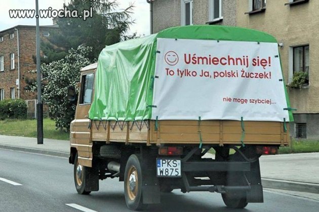 Żuczek