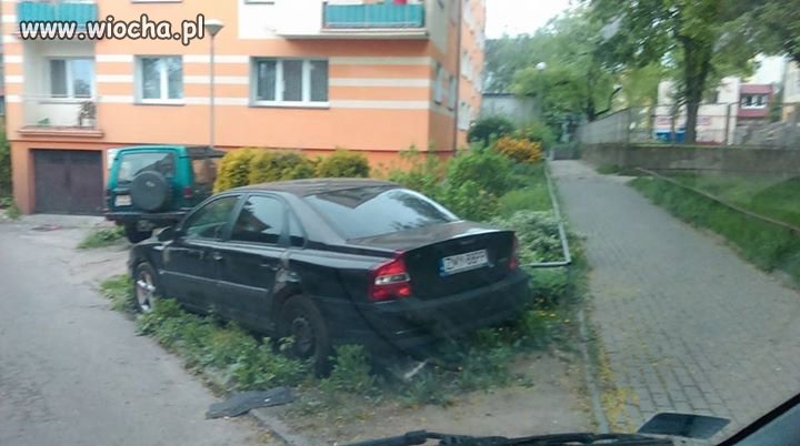 A ja rosnę i rosnę, będę kwiatkiem na wiosnę 
