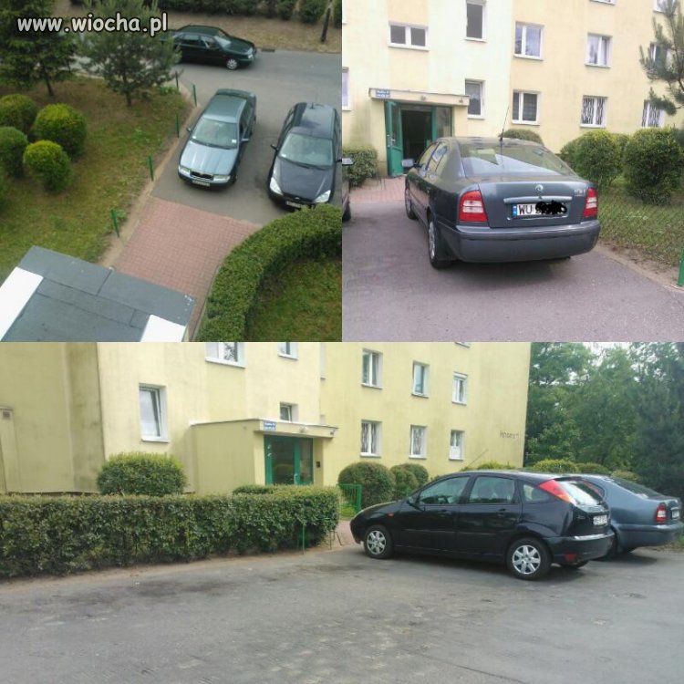 Parking pusty a pani prawie wjechała do klatki
