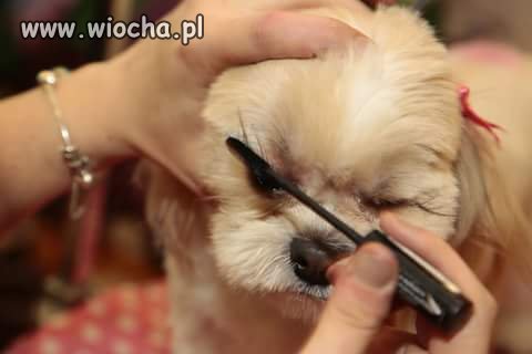 Make up Psa