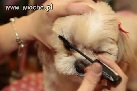 Make up Psa