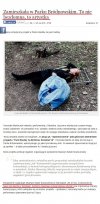 Udaje bezdomną za pieniądze podatników