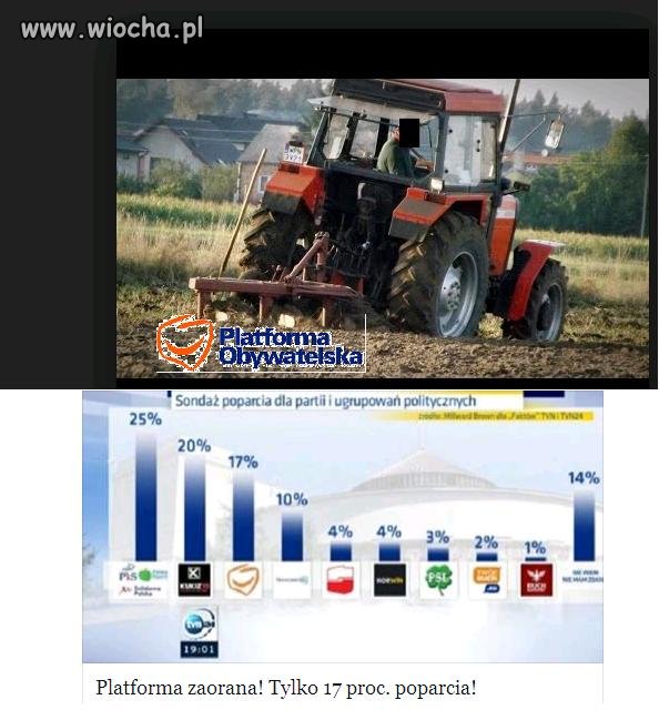 Wielkie oranie w POlsce.