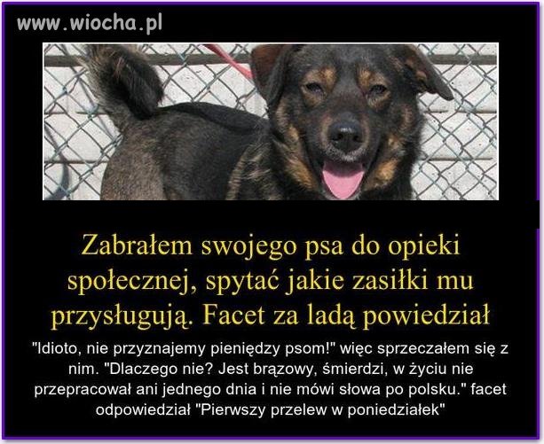 Witam w kraju