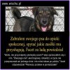 Witam w kraju