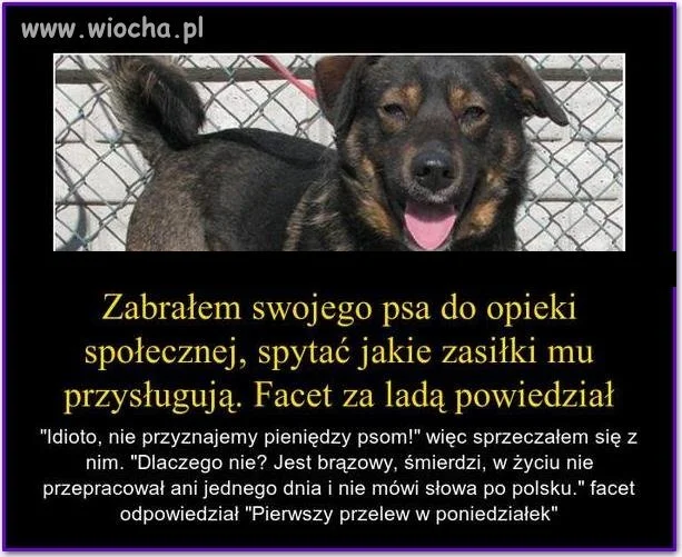 Witam w kraju