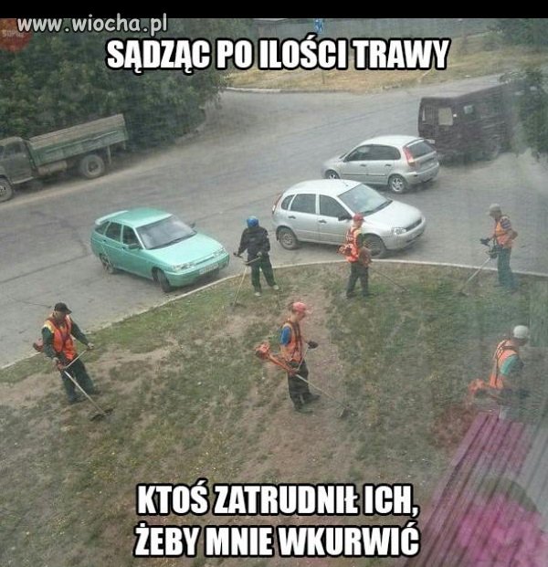 Celowe działanie