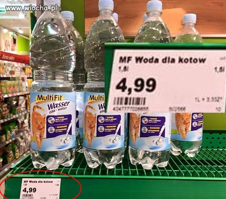 Pewnie znajdzie się głupi...