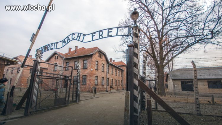 2 Anglików próbowało ukraść eksponaty z Oświęcimia