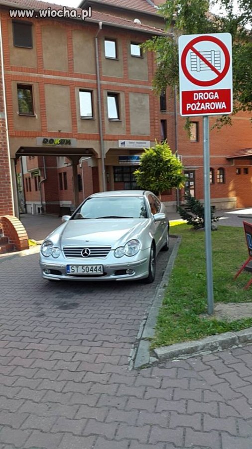 Kolejny jełop ze Śląska, 