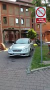 Kolejny jełop ze Śląska, 