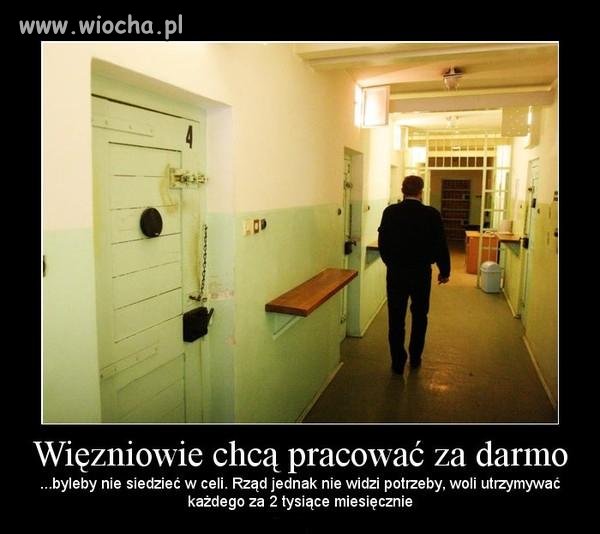 Choćby mieli długopisy w świetlicy skrecać... 