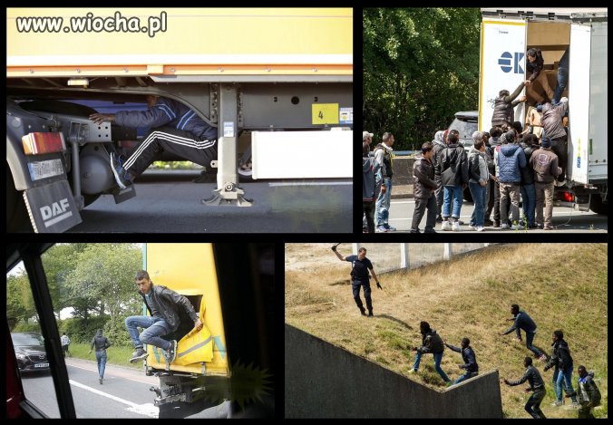 Nielegalni imigranci 