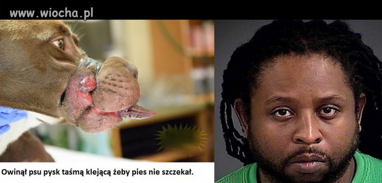 Bo debilem trzeba się urodzić