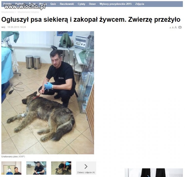Kolejny zwyrol