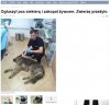 Kolejny zwyrol