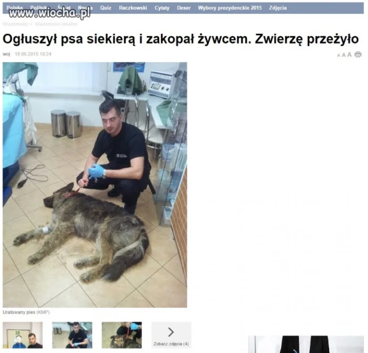 Kolejny zwyrol