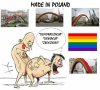 Pedalska tęcza - Plac Zbawiciela w Warszawie
