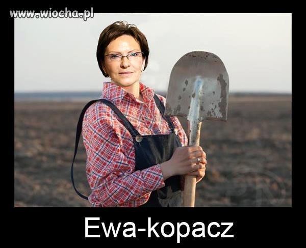 Dosłownie - przy Inowrocławiu na obwodnicy