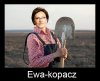 Dosłownie - przy Inowrocławiu na obwodnicy