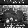 Nowy stół do ogródka, żeby wszyscy się przy nim zmieścili!