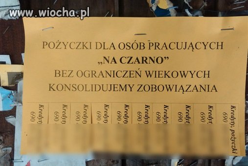 Provident reaktywacja.