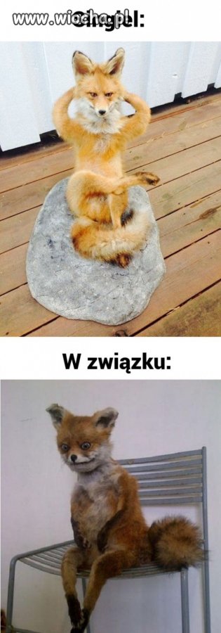 Bycie singlem kontra bycie w związku.