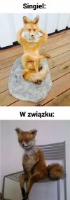 Bycie singlem kontra bycie w związku.