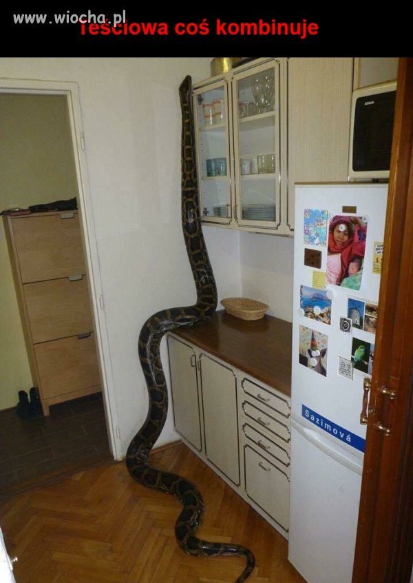 Też mi się wydaje że coś kombinuje