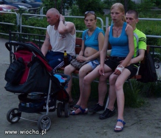 Niech żyją