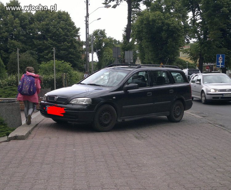 Drogowi idioci