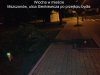 Bydłu przeszkadzało drzewo