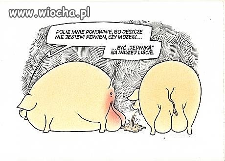 Zbliżają się wybory