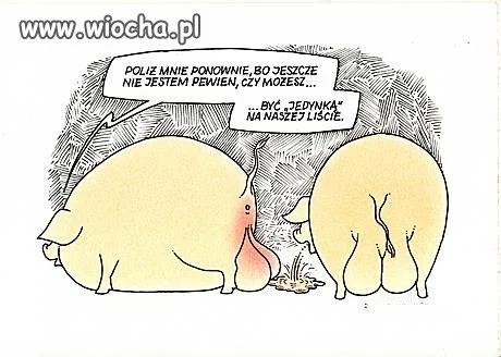 Zbliżają się wybory