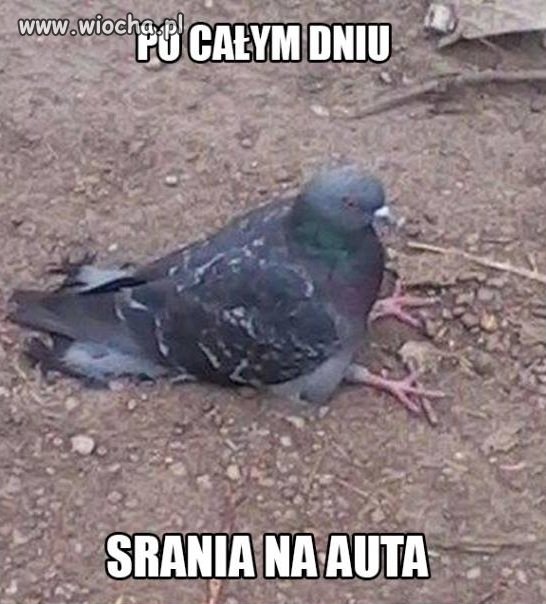 Po całym dniu