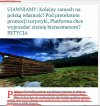 Trzeba się "nachapać" póki jeszcze można...