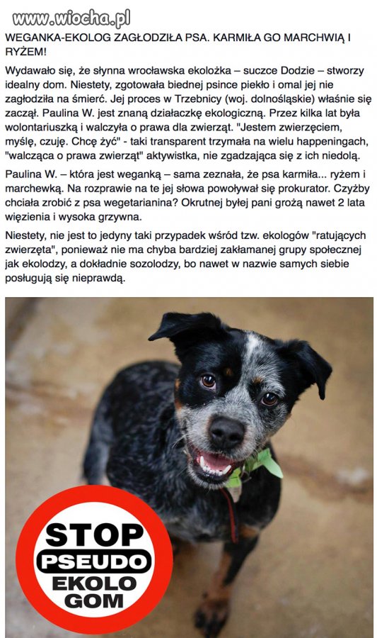Weganka - ekolożka zagłodziła psa