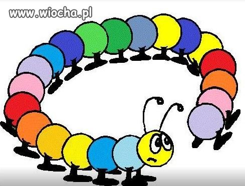 Stonoga rozje...ała rząd