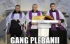 Gang plebanii