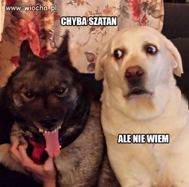 Chyba szatan