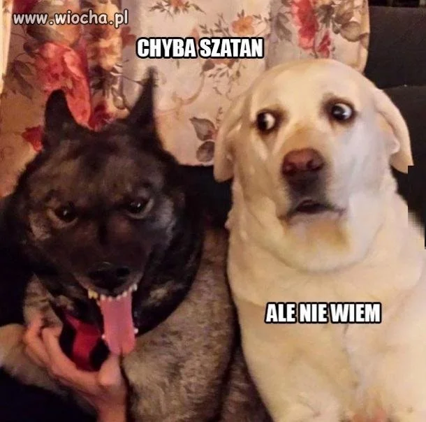 Chyba szatan