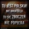 Nie wiem jak wy 